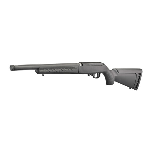 ruger_10.22 RUGER 10/22 TAKEDOWN semi-auto